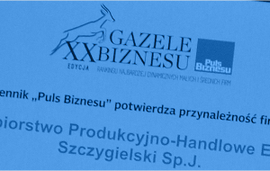 GAZELA BIZNESU 2019 DLA FIRMY ELKABEL